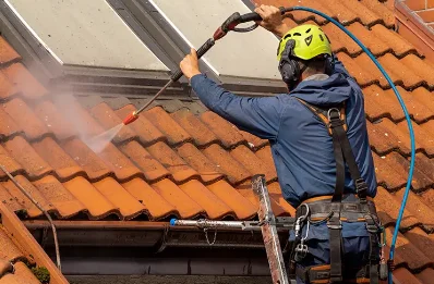 Démoussage et hydrofuge de toiture à Caligny